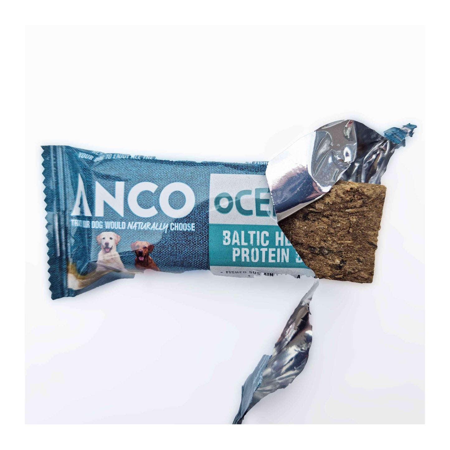 Anco Oceans+ Protein Bar with Pumpkin