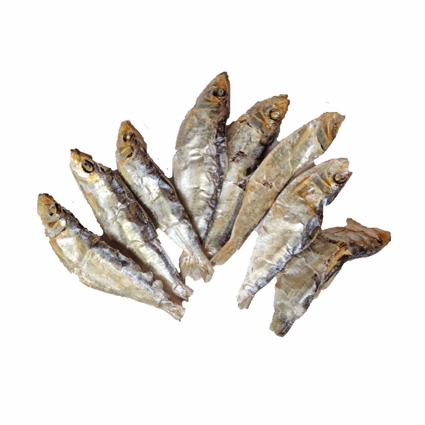 Large Sprats