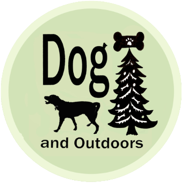 Dog and Outdoors