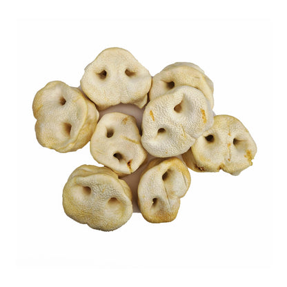 Anco Puffed Pig Snout (Pack of 2)