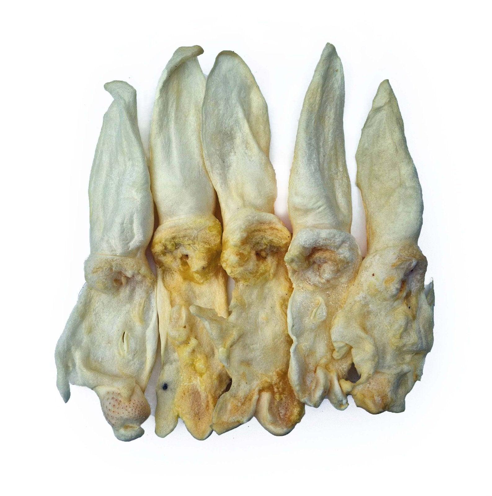 Anco Naturals Puffed Rabbit Ears (Pack of 5)