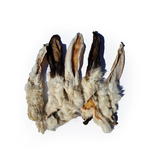 Rabbit Ear (Pack of 5)